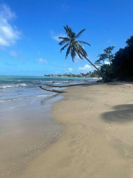 3Bedrm Beach Penthouse With Rooftop Terrace & Wifi Río Grande Extérieur photo