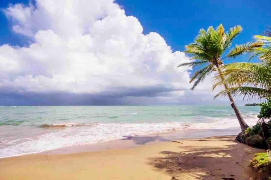 3Bedrm Beach Penthouse With Rooftop Terrace & Wifi Río Grande Extérieur photo