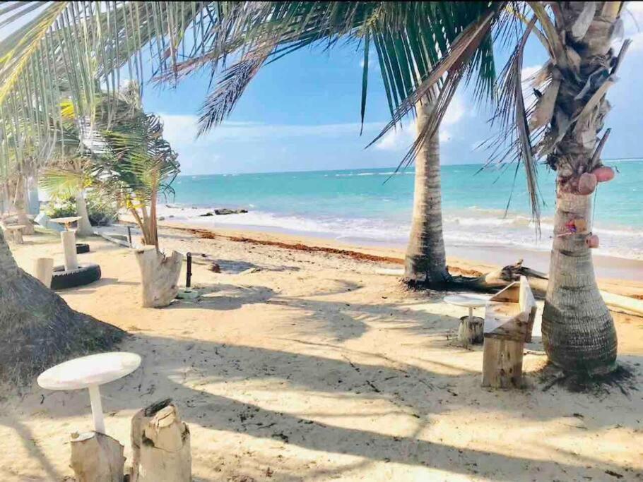 3Bedrm Beach Penthouse With Rooftop Terrace & Wifi Río Grande Extérieur photo